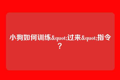 小狗如何训练"过来"指令?