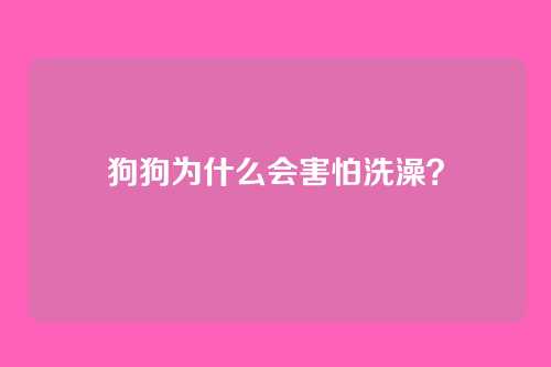 狗狗为什么会害怕洗澡？