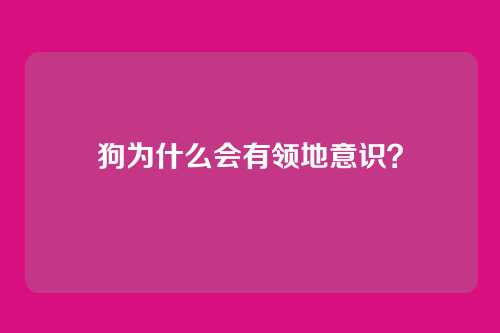狗为什么会有领地意识？