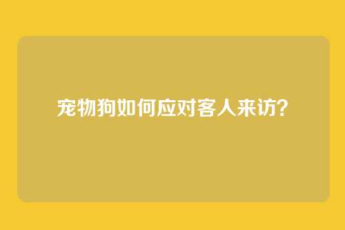 宠物狗如何应对客人来访？