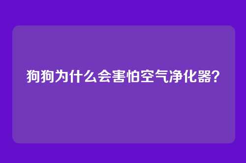 狗狗为什么会害怕空气净化器？