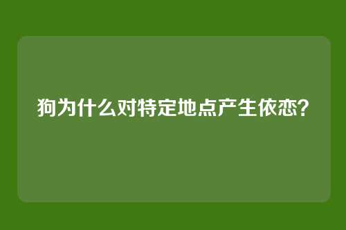 狗为什么对特定地点产生依恋？