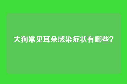 大狗常见耳朵感染症状有哪些？