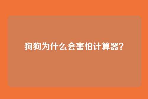 狗狗为什么会害怕计算器？