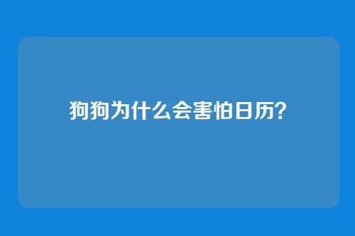 狗狗为什么会害怕日历？