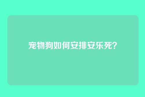 宠物狗如何安排安乐死?