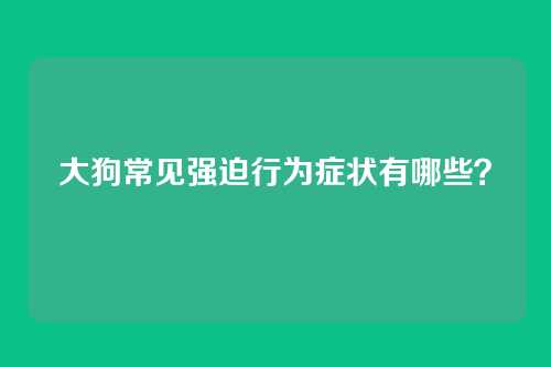 大狗常见强迫行为症状有哪些?