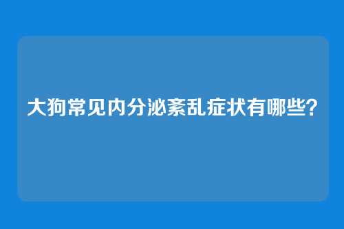 大狗常见内分泌紊乱症状有哪些？