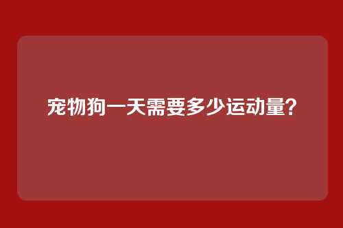 宠物狗一天需要多少运动量？
