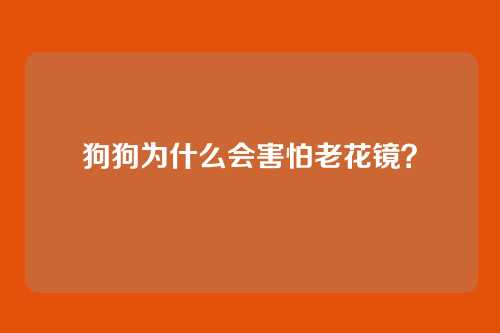 狗狗为什么会害怕老花镜？