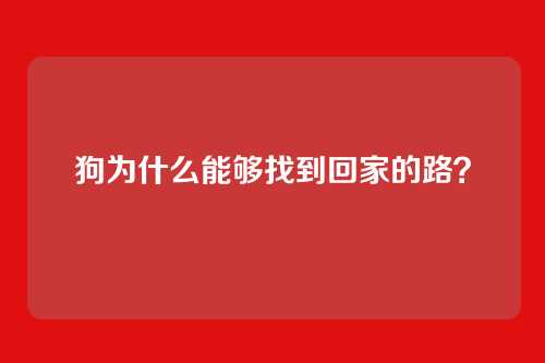 狗为什么能够找到回家的路？