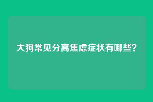 大狗常见分离焦虑症状有哪些？
