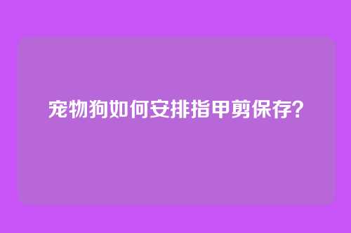 宠物狗如何安排指甲剪保存？