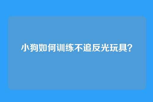 小狗如何训练不追反光玩具？