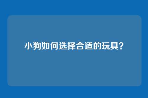 小狗如何选择合适的玩具？
