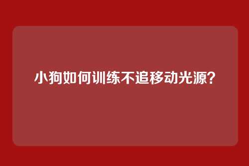 小狗如何训练不追移动光源?