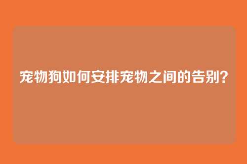 宠物狗如何安排宠物之间的告别？