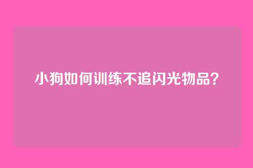 小狗如何训练不追闪光物品？