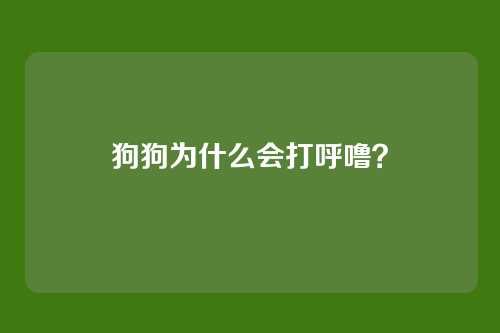 狗狗为什么会打呼噜？