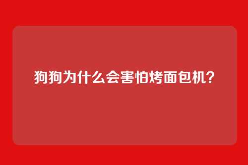 狗狗为什么会害怕烤面包机？