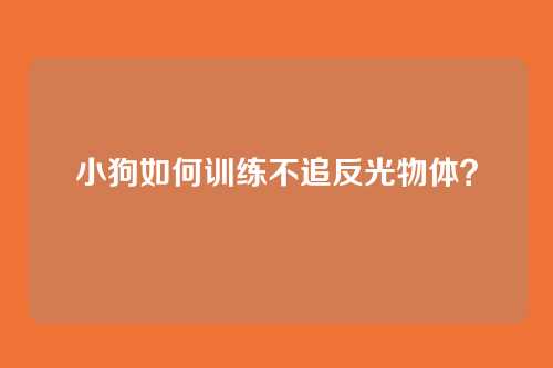 小狗如何训练不追反光物体？