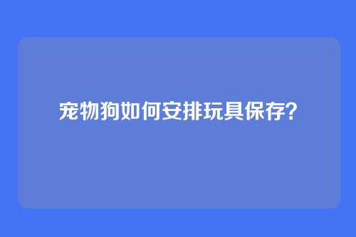 宠物狗如何安排玩具保存？