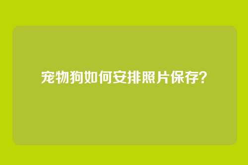 宠物狗如何安排照片保存?