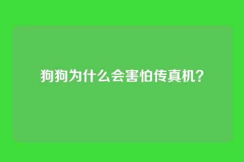 狗狗为什么会害怕传真机？