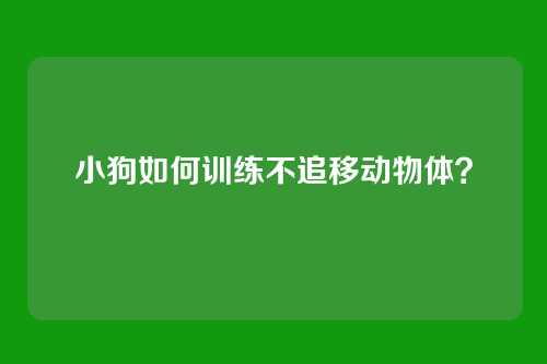 小狗如何训练不追移动物体?
