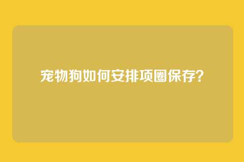 宠物狗如何安排项圈保存?