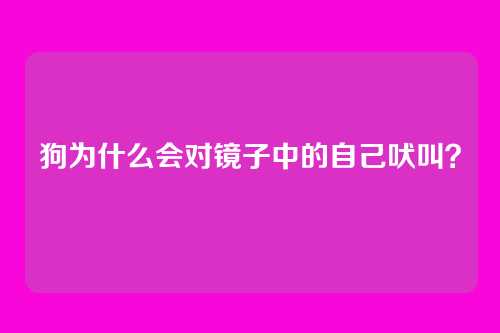 狗为什么会对镜子中的自己吠叫？