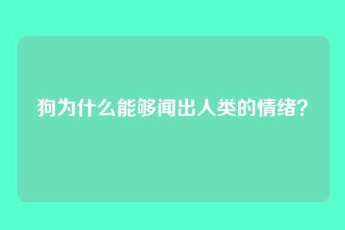 狗为什么能够闻出人类的情绪?
