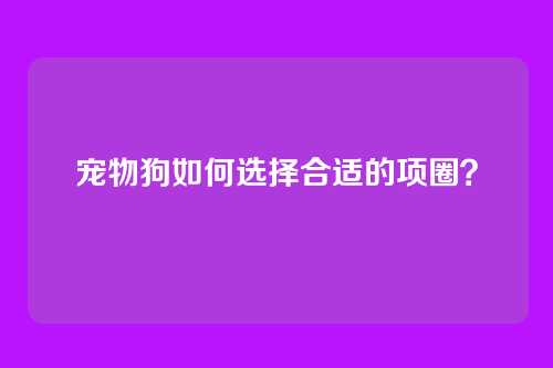 宠物狗如何选择合适的项圈？