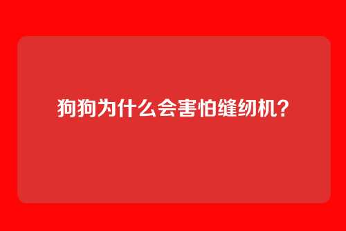 狗狗为什么会害怕缝纫机？