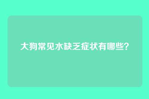 大狗常见水缺乏症状有哪些？