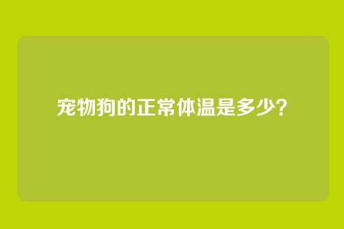 宠物狗的正常体温是多少?