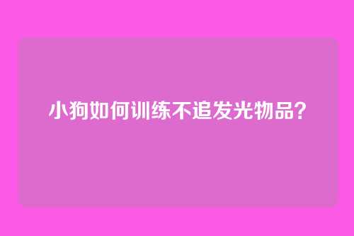 小狗如何训练不追发光物品？