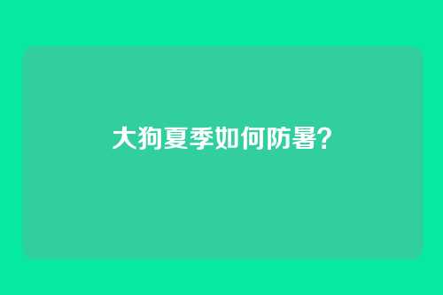 大狗夏季如何防暑？