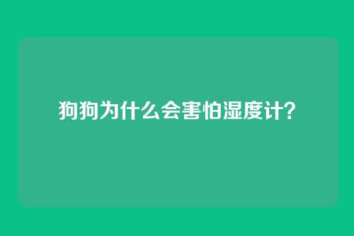 狗狗为什么会害怕湿度计？