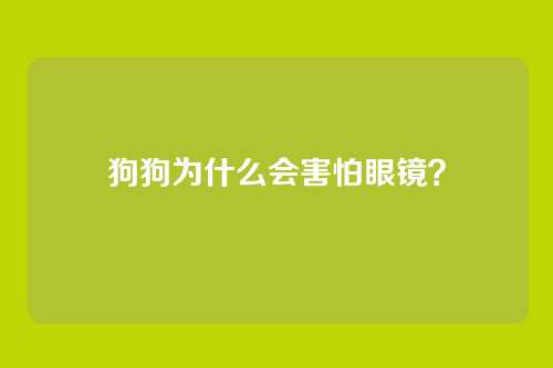 狗狗为什么会害怕眼镜？