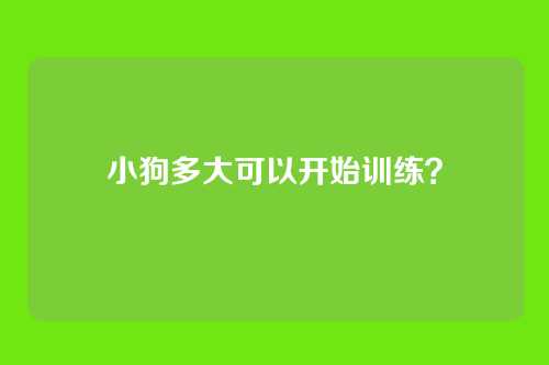 小狗多大可以开始训练？