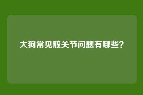 大狗常见髋关节问题有哪些?