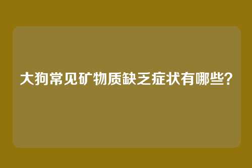 大狗常见矿物质缺乏症状有哪些？