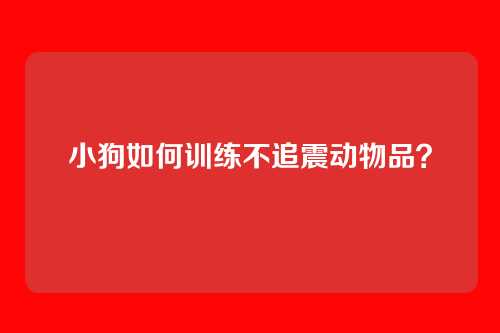 小狗如何训练不追震动物品?