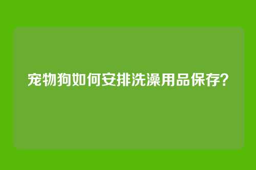 宠物狗如何安排洗澡用品保存?