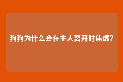 狗狗为什么会在主人离开时焦虑?