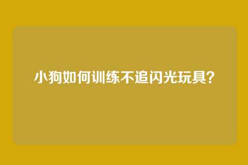 小狗如何训练不追闪光玩具？