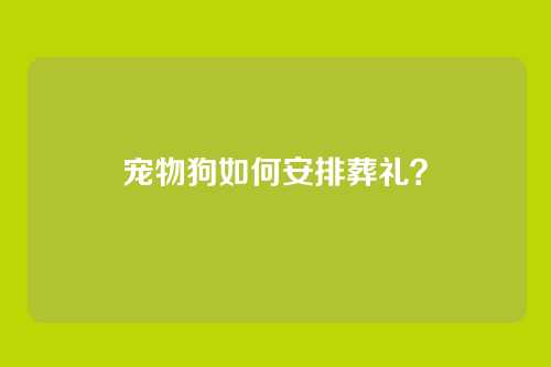 宠物狗如何安排葬礼？