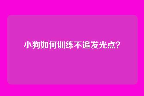小狗如何训练不追发光点？
