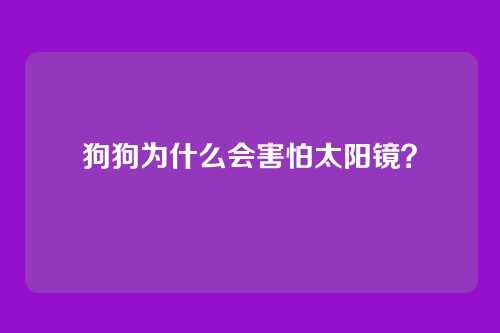 狗狗为什么会害怕太阳镜？